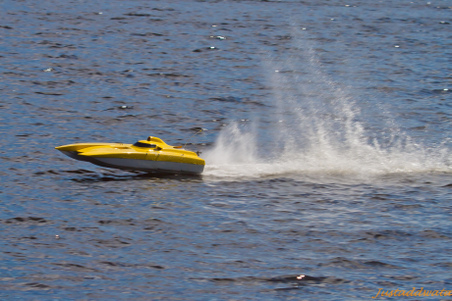 Enlarge photo 461