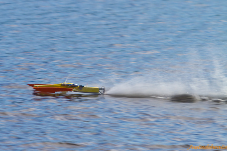Enlarge photo 479