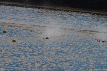 Enlarge photo 480