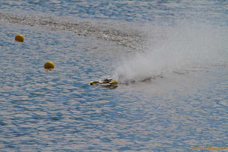 Enlarge photo 482