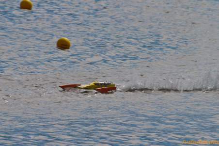 Enlarge photo 483