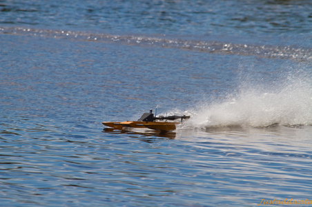 Enlarge photo 488