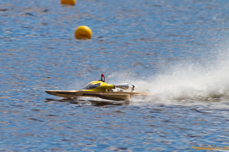 Enlarge photo 499