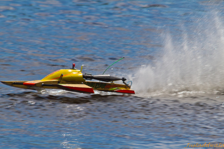 Enlarge photo 505