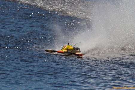 Enlarge photo 507
