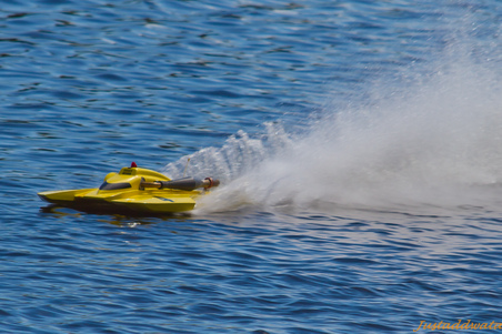 Enlarge photo 517