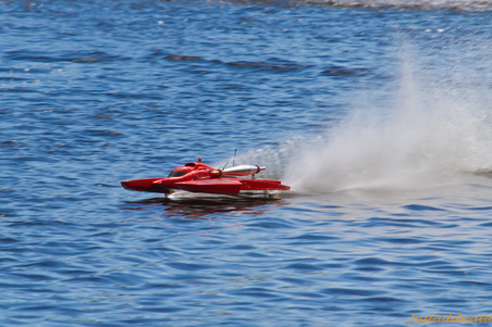 Enlarge photo 524