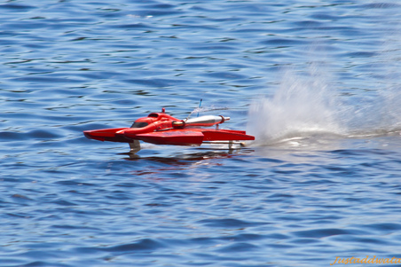 Enlarge photo 525