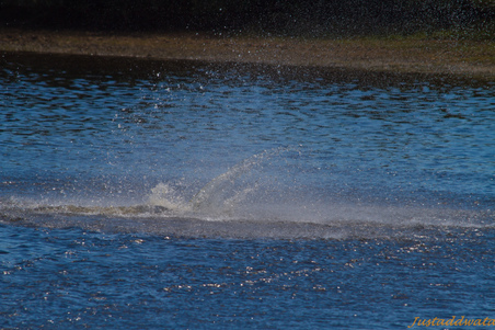 Enlarge photo 526