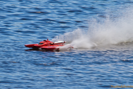 Enlarge photo 532