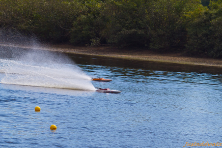 Enlarge photo 534