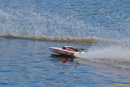 Enlarge photo 536
