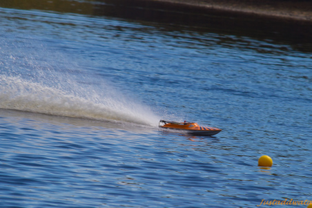 Enlarge photo 537