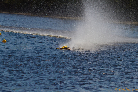 Enlarge photo 561