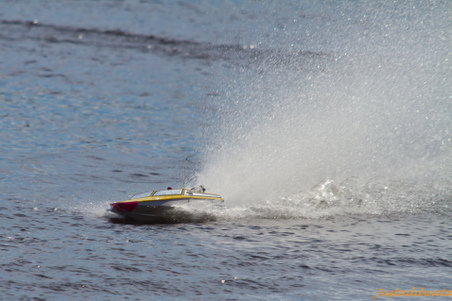 Enlarge photo 577