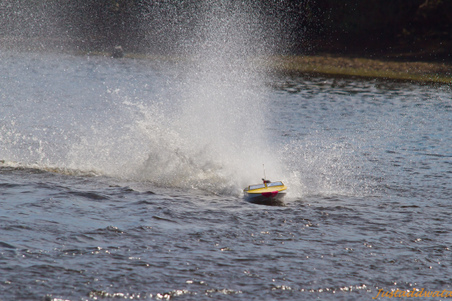 Enlarge photo 596