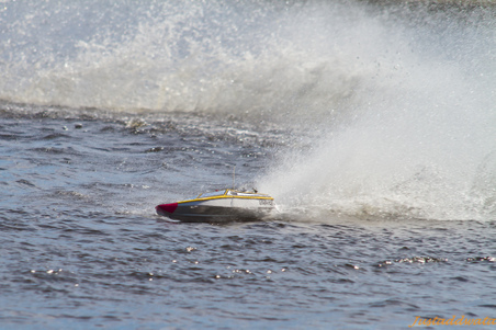 Enlarge photo 597
