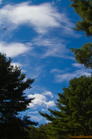 Enlarge photo 609