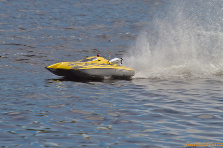 Enlarge photo 619