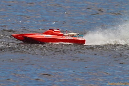 Enlarge photo 635