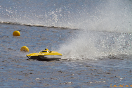 Enlarge photo 636