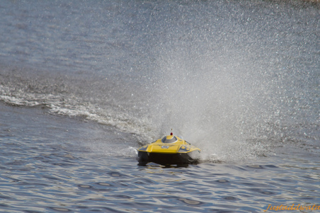 Enlarge photo 659