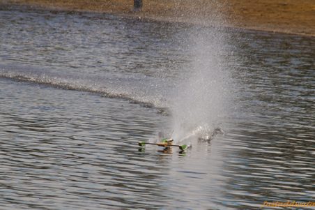 Enlarge photo 665