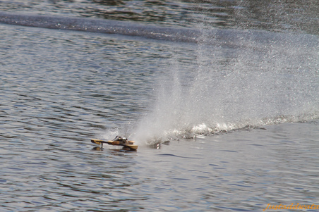 Enlarge photo 669