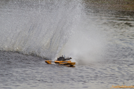 Enlarge photo 688