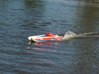 Enlarge photo 65