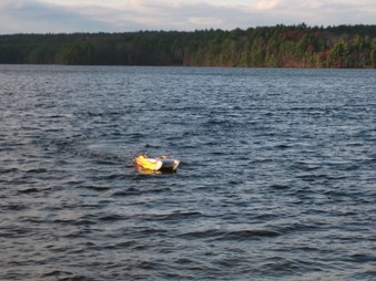 Enlarge photo 9