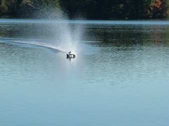 Enlarge photo 169