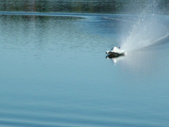 Enlarge photo 171