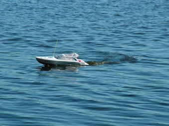 Enlarge photo 182