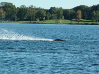Enlarge photo 229