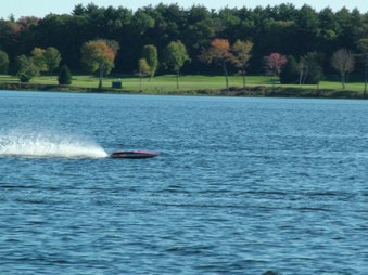 Enlarge photo 231