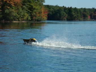 Enlarge photo 58