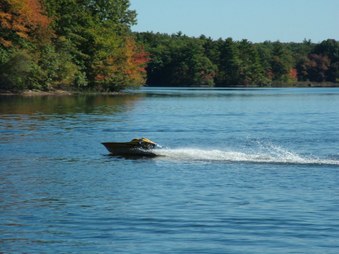 Enlarge photo 80