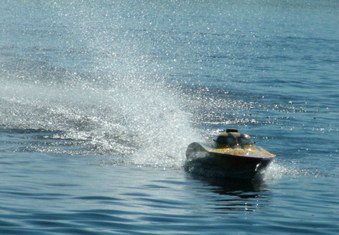 Enlarge photo 97