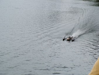 Enlarge photo 12
