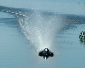 Enlarge photo 42