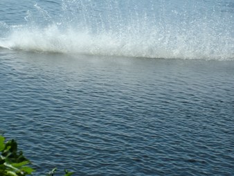 Enlarge photo 73
