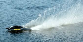 Enlarge photo 77