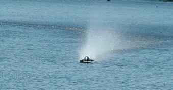 Enlarge photo 84