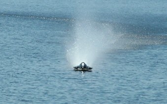 Enlarge photo 85