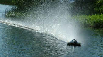 Enlarge photo 107