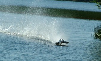 Enlarge photo 111