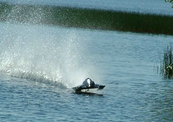 Enlarge photo 110