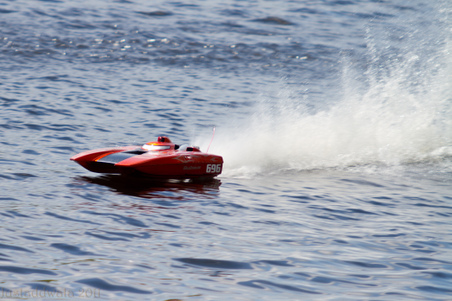 Enlarge photo 133