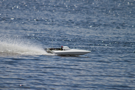 Enlarge photo 145
